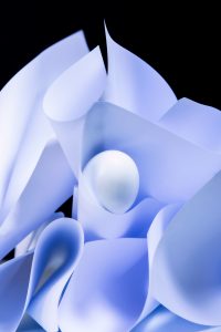 Set design, fine art, série photo, femme photographe, photographie artistique, nature morte, photographe
